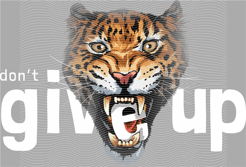 latest edition-KNY 213